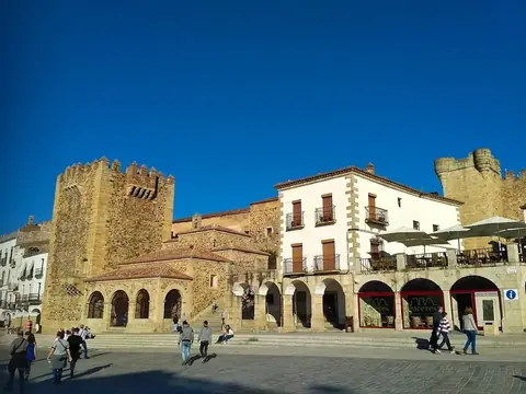 Alfonso IX entra por Coria