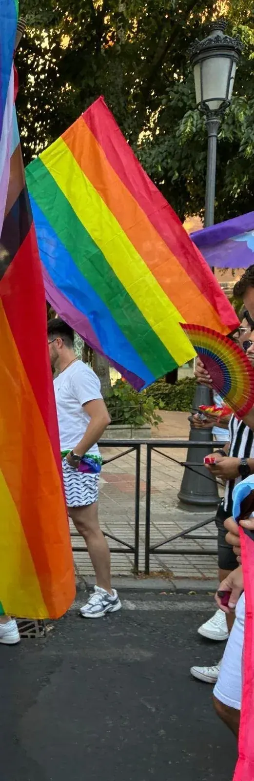 Banderas del arcoíris en la manifestación